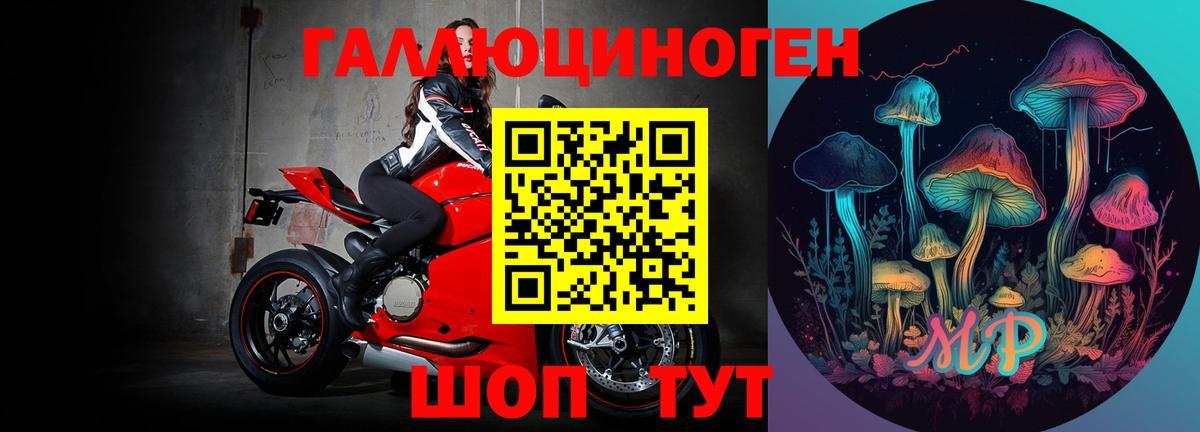 где продают   Псилоцибиновые грибы MAGIC MUSHROOMS  Вход с VPN  Добрянка 
